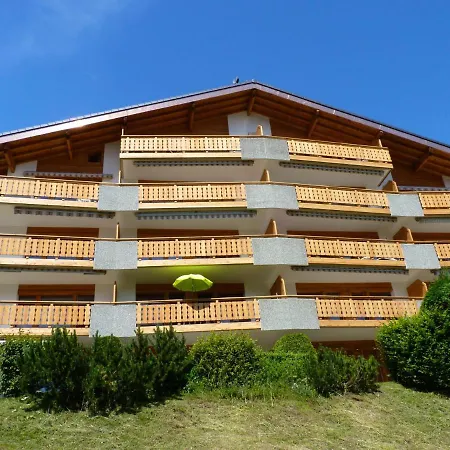 Domino A 55 *